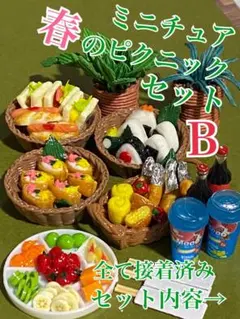 ミニチュア春のピクニックセットＢ