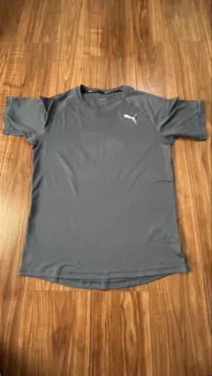 Item thumbnail for item 1f738753-6599-446e-bd10-8fd97b4ab86d