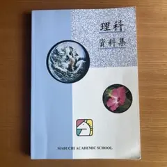 Item thumbnail for item 31a21f17-819e-474e-b061-30341d9b6f95