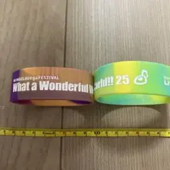 Item thumbnail for item 7a466ed5-a6f1-456e-a6f8-cf8614f777cd