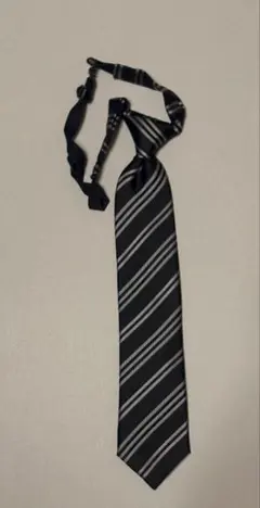 Item thumbnail for item 633259a7-9e59-4e88-9685-f1ced0ed4ad3