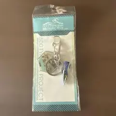 新幹線 エヴァンゲリオンプロジェクト キーホルダー