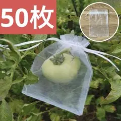 ともちん様 リクエスト 2点 まとめ商品