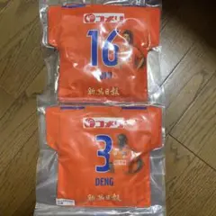 アルビレックス新潟　トーマスデン先生・小見洋太選手