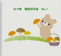 【新品】W-P様　確認用写真　No.1