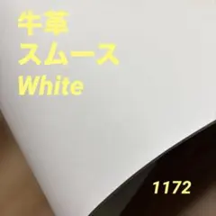 Item thumbnail for item 21097285-9629-4d42-8d8e-8c887642cbaa