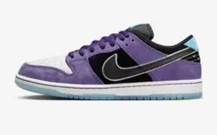 Hayley Wilson × Nike SB Dunk low 28cm
