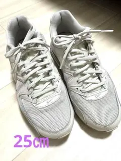 Nike Air Max スニーカー