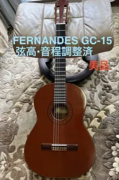 2026年最新】FERNANDES GC 20の人気アイテム - メルカリ