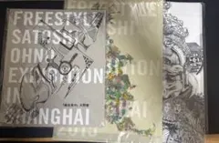 嵐 大野智　フリースタイル　上海　パンフレット　クリアファイル