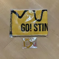 ジェイテクトstings バレーボール