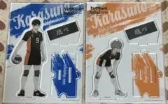 ハイキュー　ポートレート