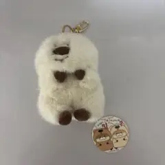 カワウソ　うそうそちゃん　ぬいぐるみ マスコット