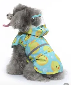 Item thumbnail for item 58abe8cf-f900-4405-a7bd-c01f10965890