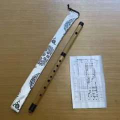 Item thumbnail for item 72ffb41e-8f96-465c-ba6d-b8226e0aaf04