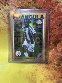 風林火山様 リクエスト 3点 まとめ商品