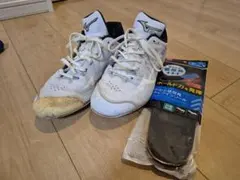 ひ*ん様 【27.0cm】野球　Mizuno 白スパイク 使用感あり インソール