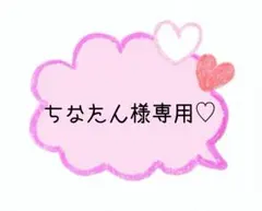 ちなたん様専用ページ