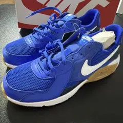 NIKE エアマックス エクシー 27.0 ブルー