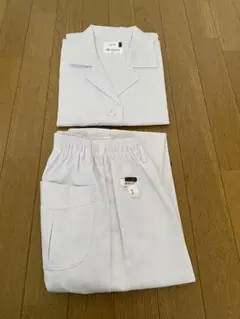 Item thumbnail for item 8118ed18-0f37-40c8-9c4f-42a61ca8265b