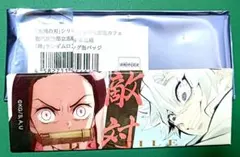 鬼滅の刃 鬼滅 兄妹の絆 場面写スクエア缶バッジ 善逸 カナヲ 玄弥