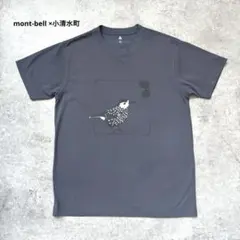 【限定レア】mont-bell モンベル　ノビタキ　小清水町　Tシャツ 鳥のサムネイル