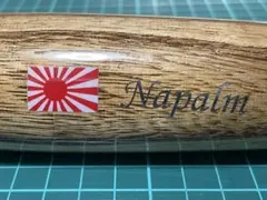 Item thumbnail for item 2665b404-597a-45d0-955f-4b52500d1864