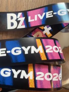 B'z LIVE-GYM 2026「FYOP+」 銀テープ(3枚)のサムネイル