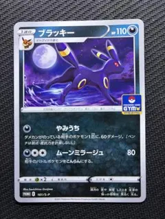 ブラッキー：ソード&シールド プロモカードパック第5弾 PROMO