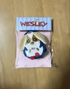 【匿名配送】 Wesley ミニドールキーチェーン 匿名配送】 Wesley ミニドールキーチェーン | Mercari