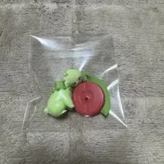 チョコエッグ　ポケモン　旅立ちの３匹　チコリータ