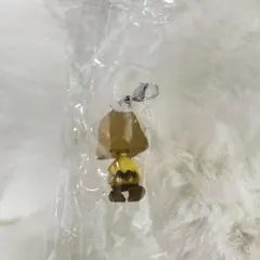 PEANUTS めじるしアクセサリー FUNNYver.チャーリー・ブラウン