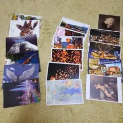 ポストカード 20枚