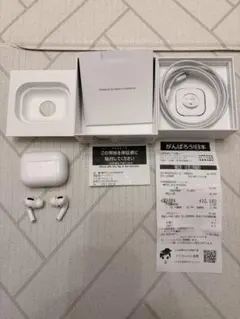 AirPods Pro 第1世代（右耳ノイズあり・接続確認済み・付属品完備）