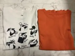 CHUMS Tシャツ 2枚セット