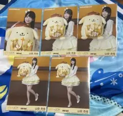 ≒JOY 大信田美月 生写真 コンプ ポムポムプリン サンリオコラボ