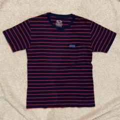 BLUE BLUE ブルーブルー　フルーツオブザルーム　Tシャツ　ボーダー