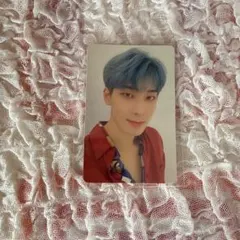 seventeen ウォヌ 舞い落ちる花びら トレカ CARAT盤