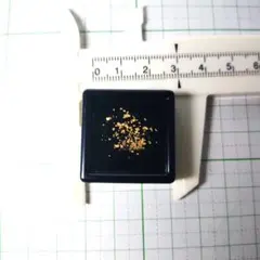 天然砂金「ルーペで観察する砂金」最上川水系、管理No.81016