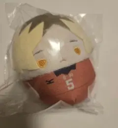 ハイキュー!!　くじメイト　ぬいくじ　D賞　孤爪研磨