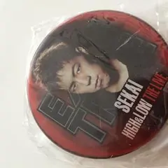 世界　缶バッチ