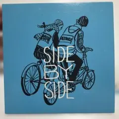 ペトロールズ SIDE BY SIDE PETROLZ 長岡亮介