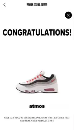 【最終値下げ】Nike Air Max95 BigBubble premium