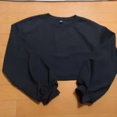 SHEIN ブラック クロップドカットソー