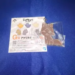 ハイキュー　角名倫太郎　アクチャー