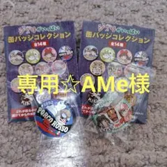 ジブリ　缶バッチコレクション