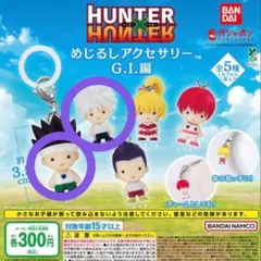 HUNTERXHUNTERめじるしアクセサリー 2点セット キルア ゴン