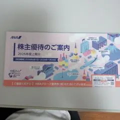 ana 株式優待のサムネイル