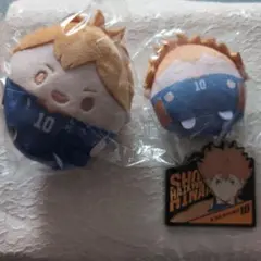 ハイキュー!! 日向翔陽