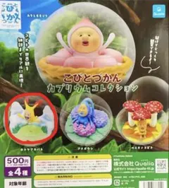 こびとづかん　カプリウムコレクション ホトケアカバネ